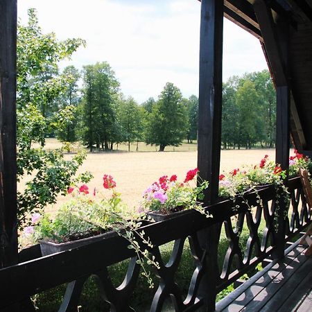 Landgasthof Zur Wildbahn Burg Eksteriør billede